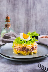 Appetizing salad of canned tuna, potatoes, cheese, lettuce and eggs on a plate vertical view