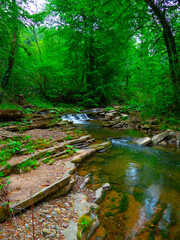 Obraz premium golderesi waterfall and forestroad are so beautifull in spring., 
