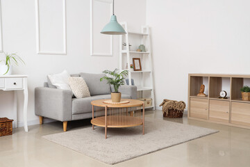 Stylish interior of living room with grey sofa and houseplant on table