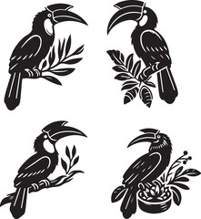 black and white birds