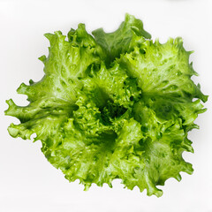 Top view of fresh green lettuce isolated on white background.