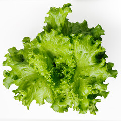 Top view of fresh green lettuce isolated on white background.