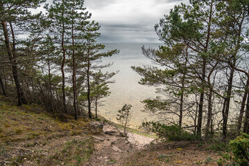 View to baltic sea from Panga cliff in Saaremaa island, Estonia on cloudy spring day