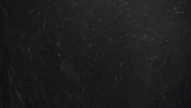 Real snow storm isolated on black background. A real snow storm and a snow storm with a strong wind driving snowflakes in different directions isolated on a black background.