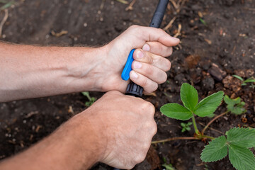 Installation of a drip irrigation system for the garden. A man connects a shut-off valve to an HDPE...