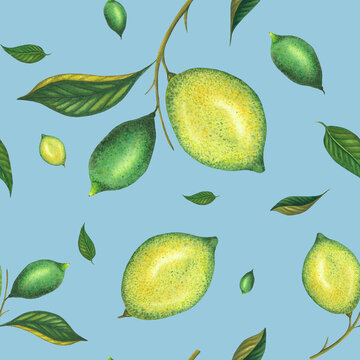 Watercolor seamless lime pattern with green lemons and lime branch with leaves. Hand painted yellow fruits isolated on blue background. Fresh citrus illustration for design, print, fabric, decor