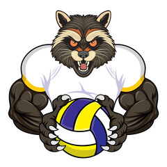 volleyball mascot raccoon vector illustration design