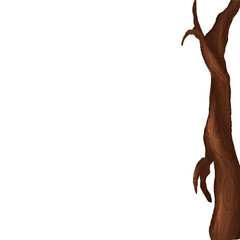 tree isolated, half tree