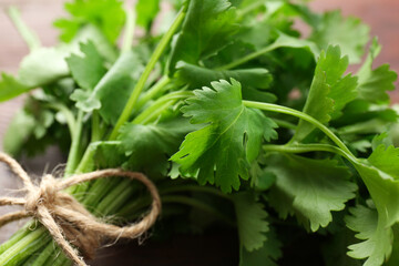 Fototapeta premium Bunch of fresh coriander on table, closeup