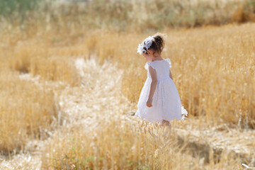 A little girl in a white dress, with a basket in her hands and a white wreath on her head in a wheat field, Jewish holiday Shavuot
