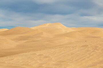 Fototapeta na wymiar A view over the Algodones Sand Dunes in California