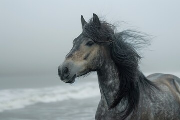 Icelandic horse portrait with mane blowing in the wind, showcasing the breed's natural beauty and spirit.