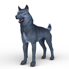 オオカミ　3DCGレンダリング