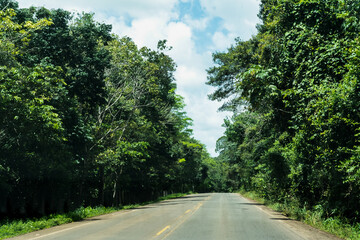 Obraz premium An asphalt road with trees on both sides