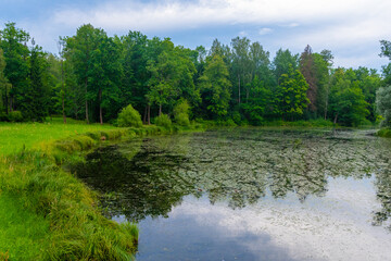 Puschkin ist ein Stadtteil von St. Petersburg, wo auch der  ber&uuml;hmte Katharinenpalast im Park zu sehen ist.