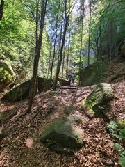 Waldgebiet in der sächsischen Schweiz, Deutschland