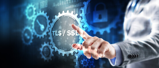 Transport Layer Security. Secure Socket Layer. TLS SSL. Mixed Media