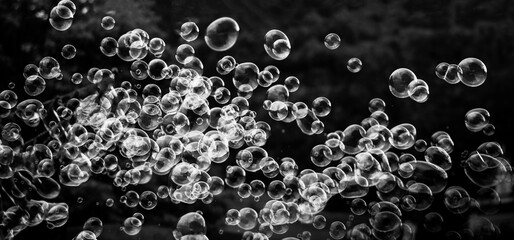 Abstract art photography bubbles black and white