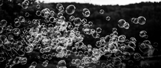 Bubbles floating in the air on a black background with a black and white photo of bubbles in the air