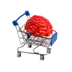 an iron shopping cart on wheels with a brain. the concept of discounts and consumption. white...