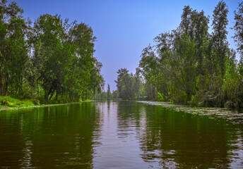 Xochimilco's picturesque canal. Lush greenery, calm waters, and a radiant sun make for an idyllic setting, perfect for a peaceful getaway