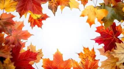 An abstract autumn background with copy space A frame of vibrant fall leaves on white 
