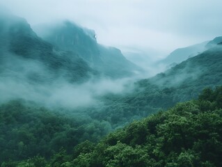 A lush green forest with a foggy mist covering the mountains in the background. The mist gives the scene a serene and peaceful atmosphere, as if the forest is enveloped in a soft, ethereal embrace