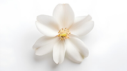 Beautiful flowers bring back memories.