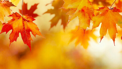 Maple leafs with blurred foreground and background 16:9 with copyspace