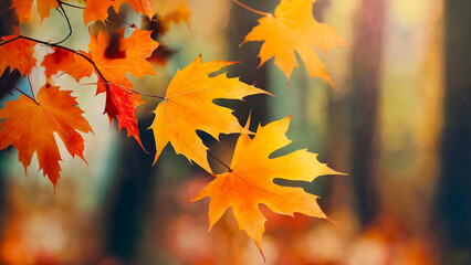 Maple leafs with blurred foreground and background 16:9 with copyspace