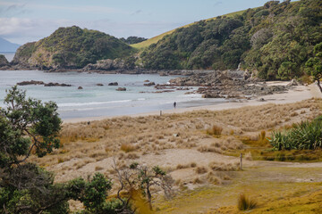 Sandy isolated tropical beach at Tawharanui, Matakana, Auckland, New Zealand.