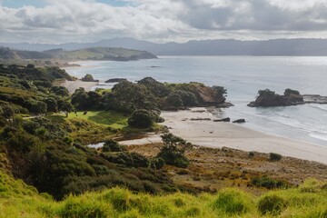 Farmland and the tropical sandy beach of Tawharanui, Matakana, Auckland, New Zealand.