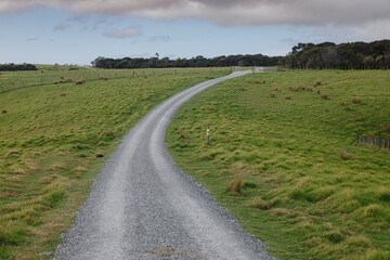 Rural gravel road on farmland in Tawharanui, Matakana, Auckland, New Zealand.