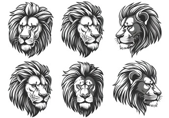 a set of black and white lion heads on a isolated background, featuring a variety of faces including a white face, a black face, a white and black face, and a black