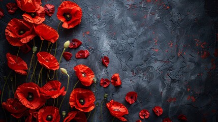 Memorial day  with poppies