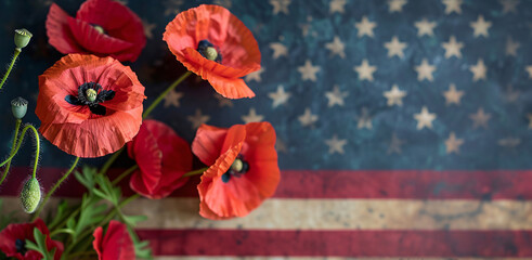 Obraz premium Memorial day with poppies