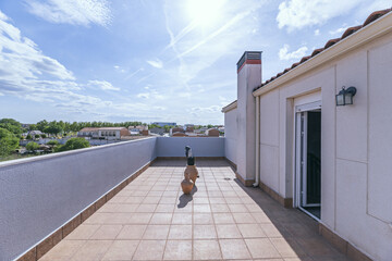 The terrace is the usable flat roof of a building