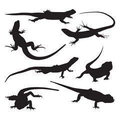 Lizard Silhouette Vector Illustration Set