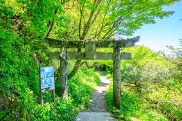 初夏の普賢神社　長崎県雲仙市　Fugen Shrine in early summer. Nagasaki Pref, Unzen...