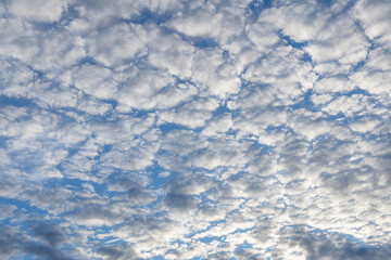 The entire frame is filled with contrasting volumetric clouds