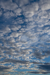 A vertical photo where the entire frame is filled with contrasting volumetric clouds