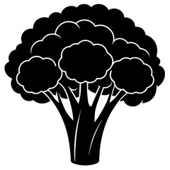 cauliflower silhouette vector illustration