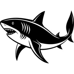 illustration of a shark