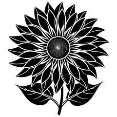 sunflower silhouette vector illustration