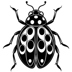 illustration of a ladybug