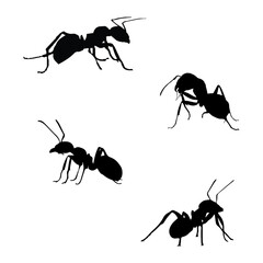 Ant Art Silhouette Set