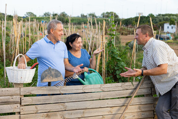 Three neighbours farmers talking together near wooden fence in garden outdoor