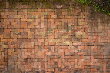 yellow brick wall with vines on top