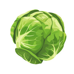 A Single Graphic Icon Brussels Sprout with a Transparent Background PNG