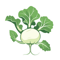 A Single Graphic Icon Kohlrabi with a Transparent Background PNG